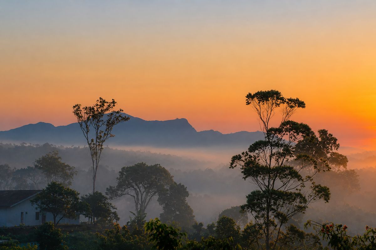Sunrise with Mist