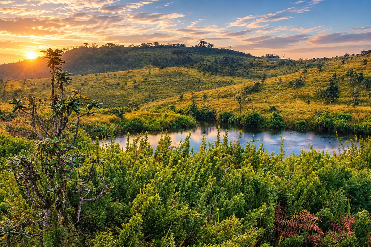 Horton Plains – Close to Nature